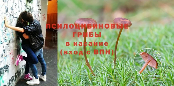 apvp Кодинск