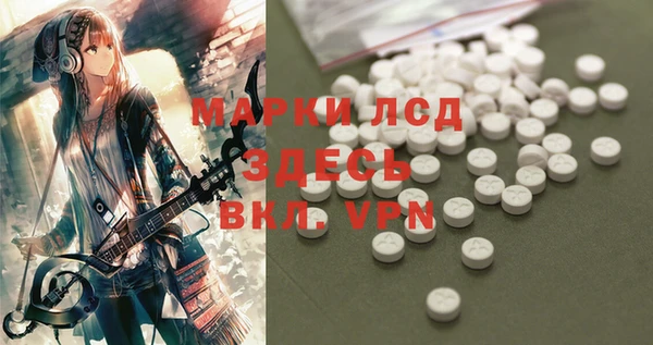 стафф Козельск