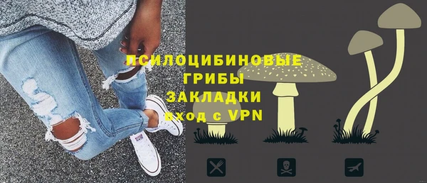 стафф Козельск