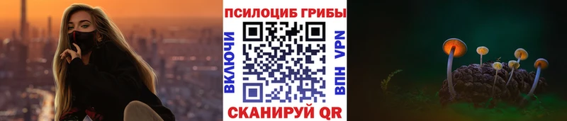 Галлюциногенные грибы MAGIC MUSHROOMS Балтийск